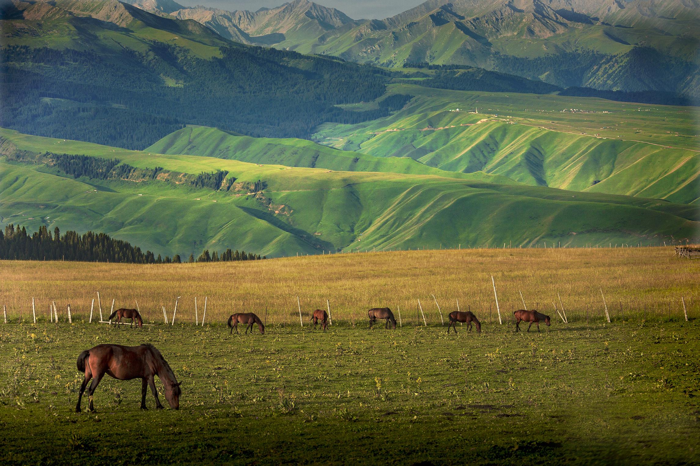 探寻新疆,丝绸之路上的璀璨明珠